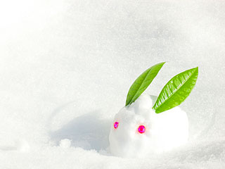 公営社ソアホールにて 「人形・写真供養祭」を開催いたします。