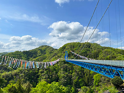 5��10���ޤǡ���35��ε������Τܤ�ޤĤ�פ����Ť���Ƥ��ޤ���