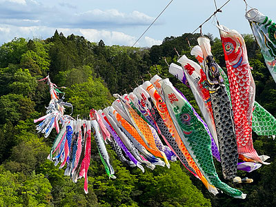 5��10���ޤǡ���35��ε������Τܤ�ޤĤ�פ����Ť���Ƥ��ޤ���