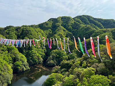 5��10���ޤǡ���35��ε������Τܤ�ޤĤ�פ����Ť���Ƥ��ޤ���